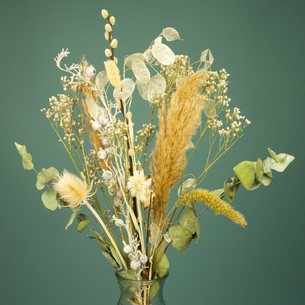 Droogboeket Wit