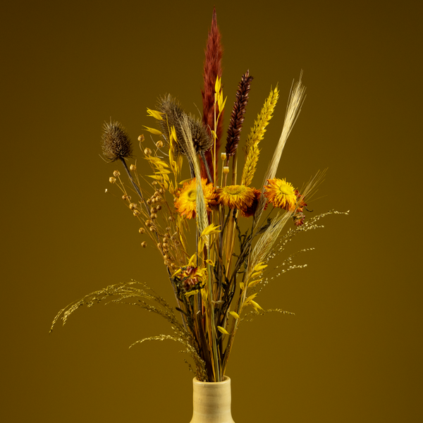 Droogboeket Zonnestraal