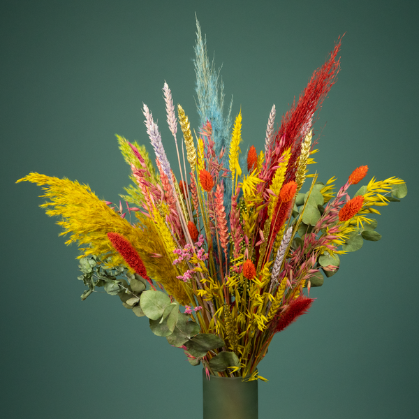 Droogboeket Kleurexplosie XL