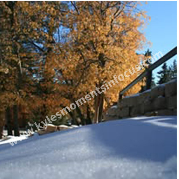 When Autumn Meets the Ice