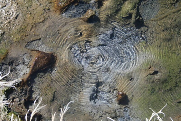 Ripples of Time