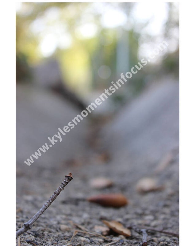 Remnants