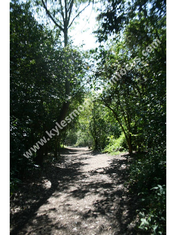 The Secret Passage