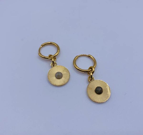 Oorbellen stainless steel 'Rosa'