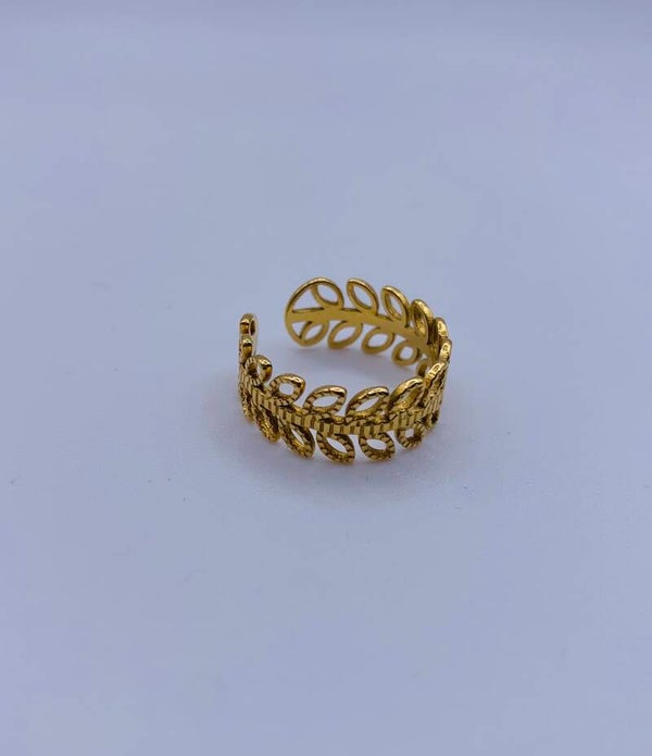 Ring stainless steel 'Vajen'