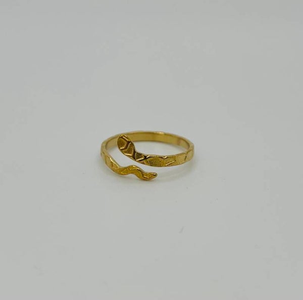Ring stainless steel ‘Snake thin’