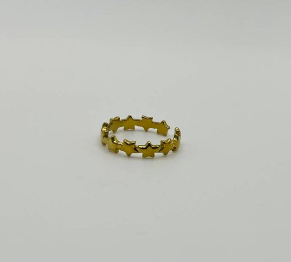 Ring stainless steel 'Sterre'