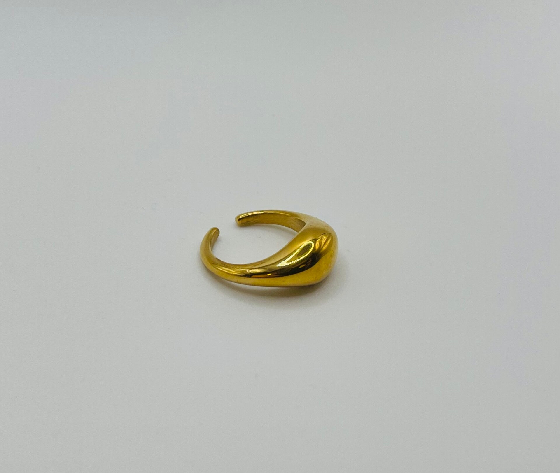 Ring stainless steel ‘Lynn’