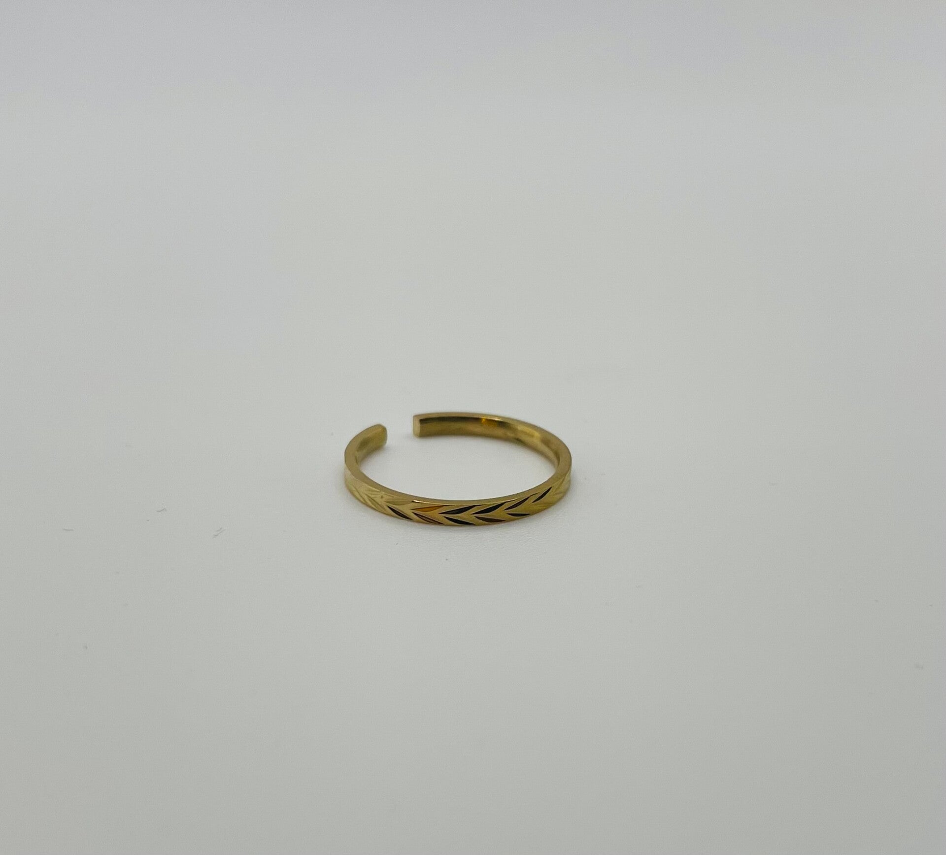 Ring stainless steel ‘Nola’