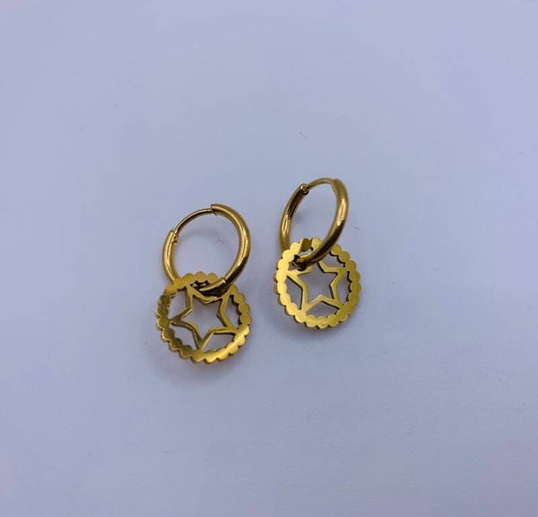 Oorbellen stainless steel 'Beau'