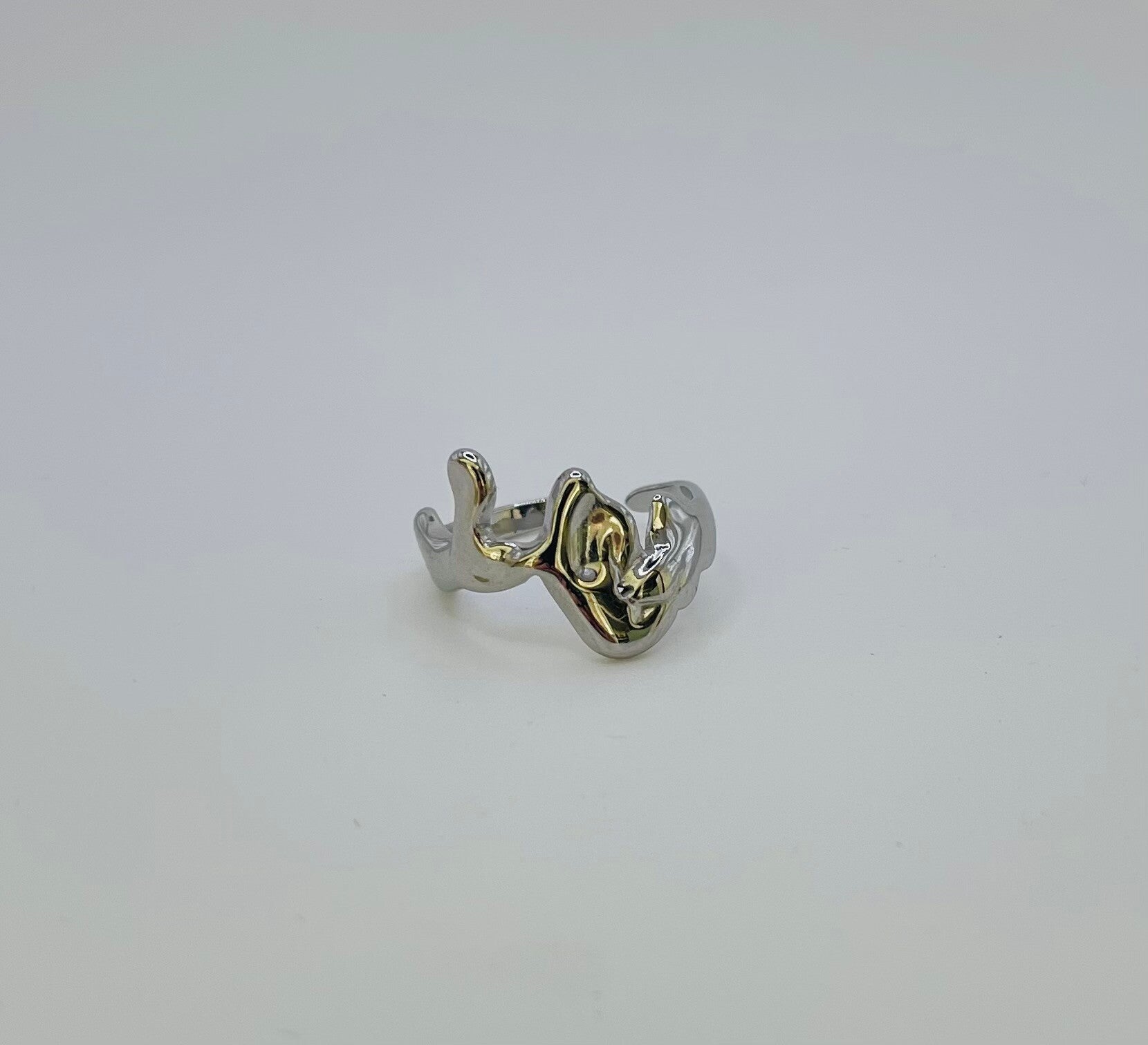 Ring stainless steel zilverkleur ‘Jane’