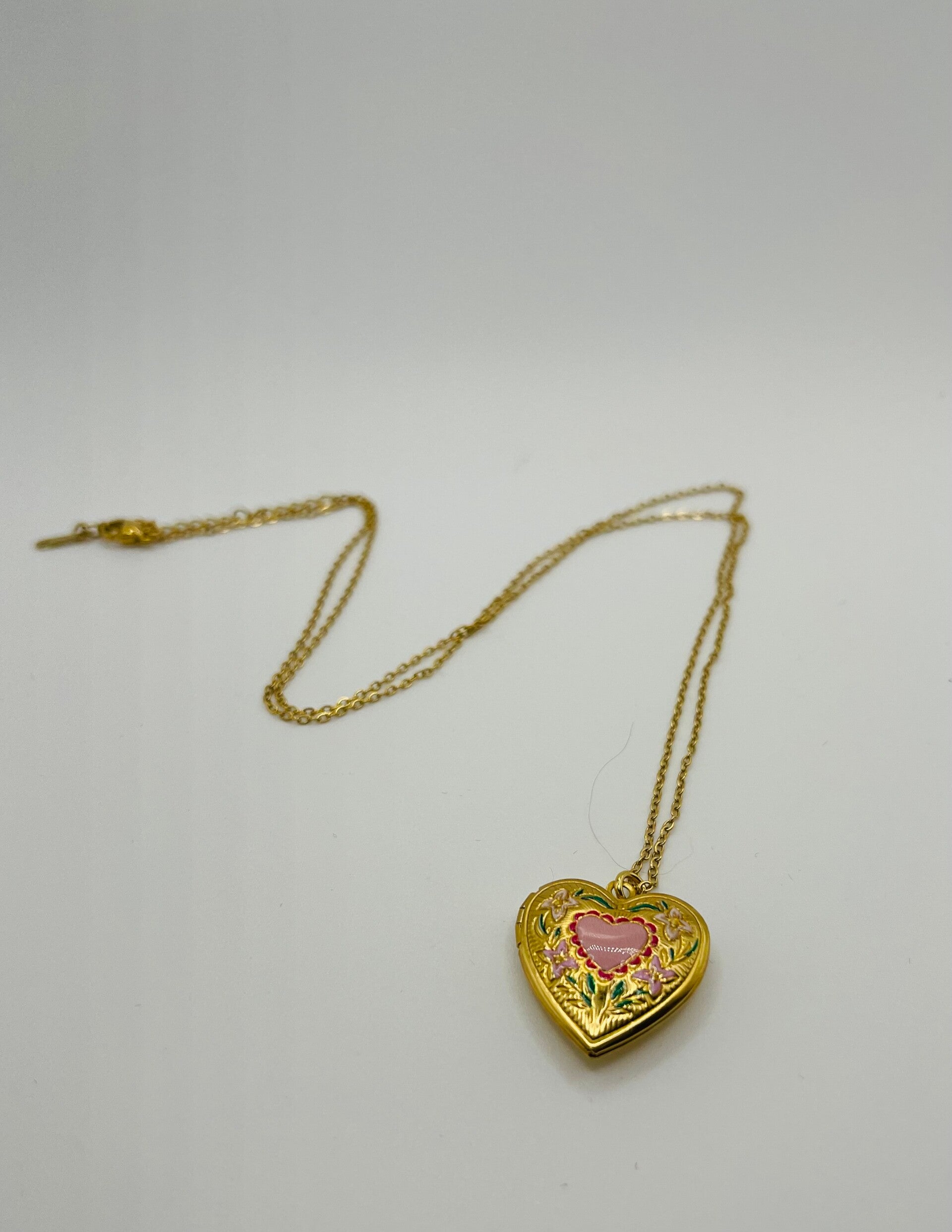 Medaillon ketting stainless steel