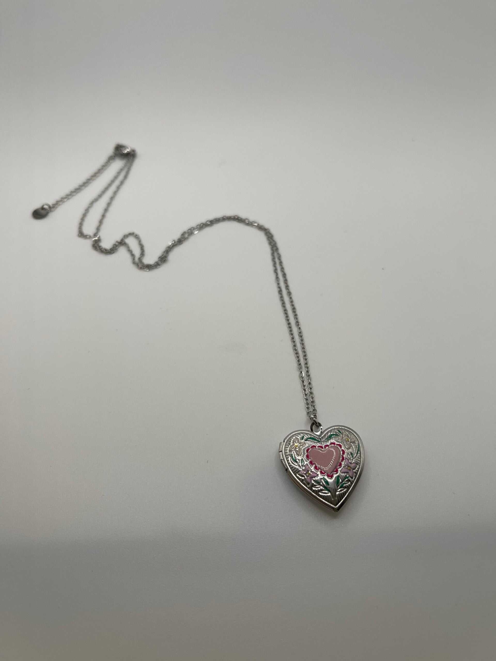 Medaillon ketting stainless steel zilverkleur