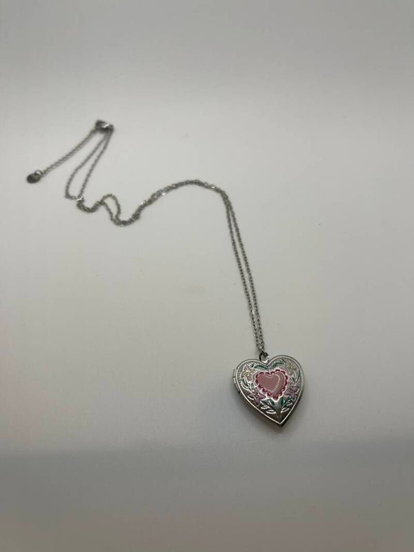 Medaillon ketting stainless steel zilverkleur