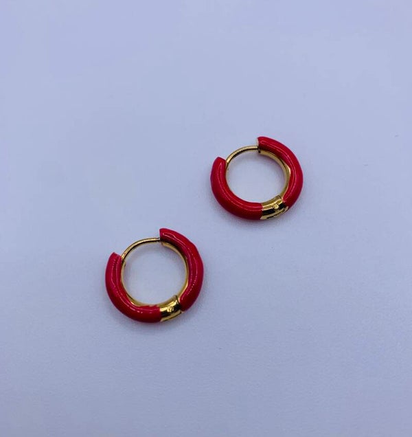 Oorringen stainless steel 'Rosie'