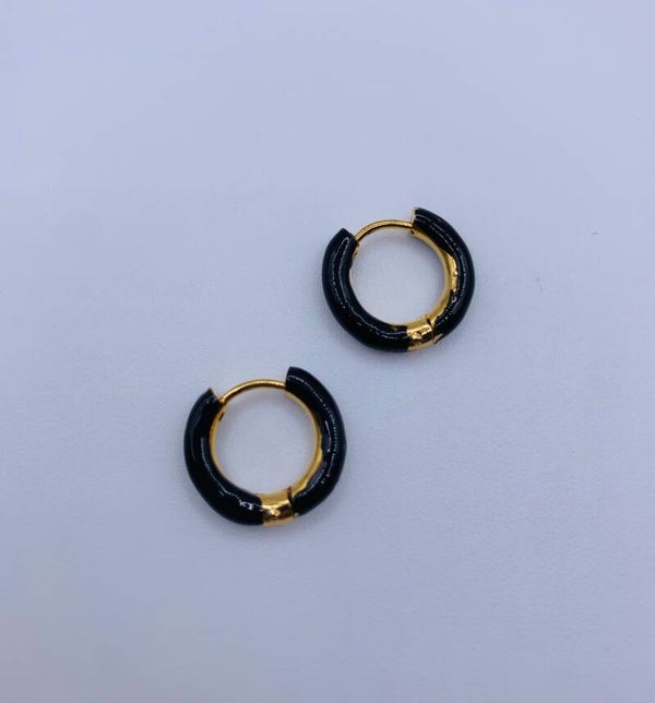 Oorringen stainless steel 'Ize'