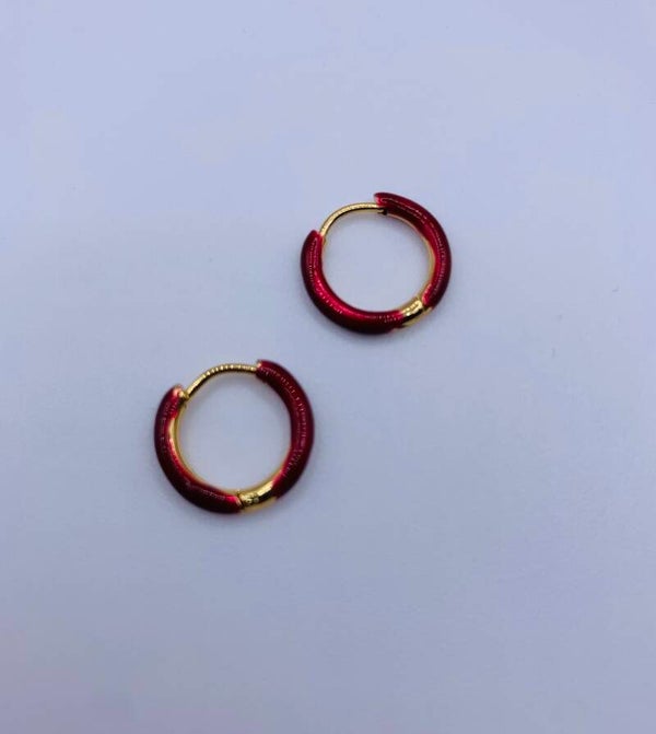 Oorringen stainless steel 'Liv'