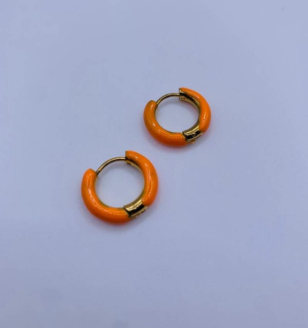 Oorringen stainless steel 'Lina'