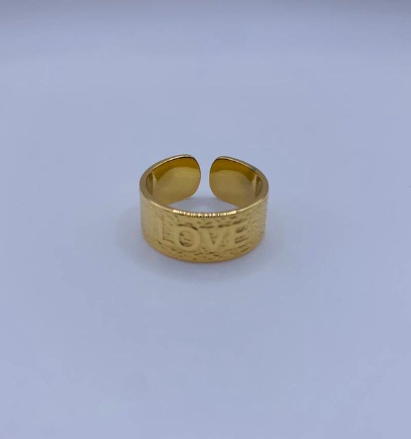 Ring stainless steel 'Lotte'