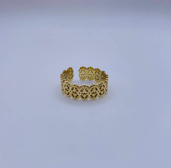 Ring stainless steel 'Lee'