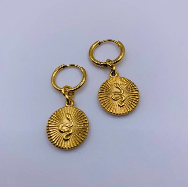 Oorbellen stainless steel 'Vivianne'