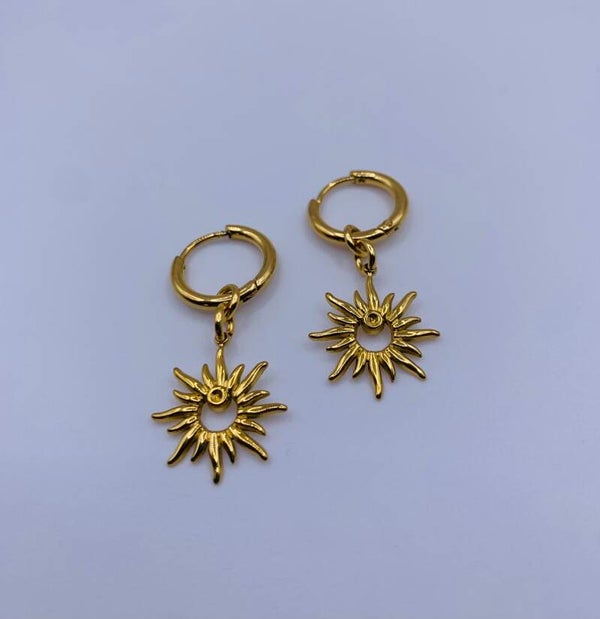 Oorbellen stainless steel 'Steef'