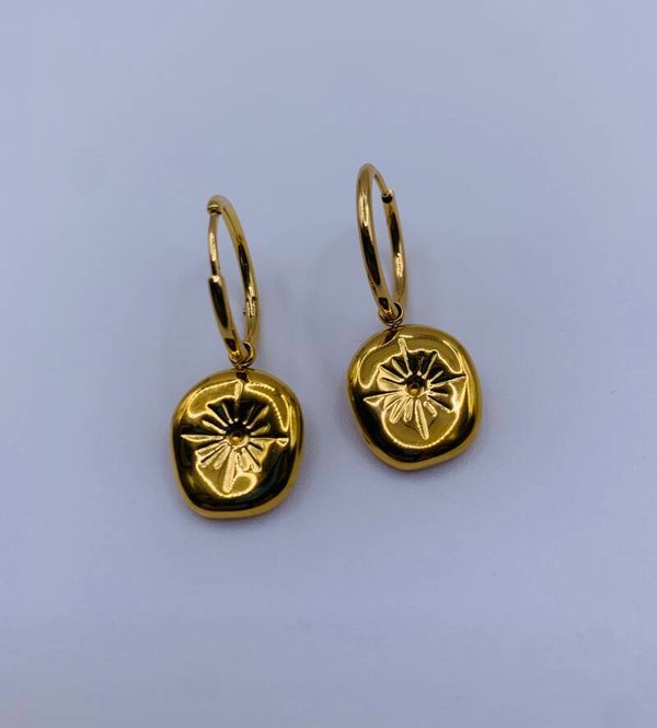 Oorbellen stainless steel 'Lola'