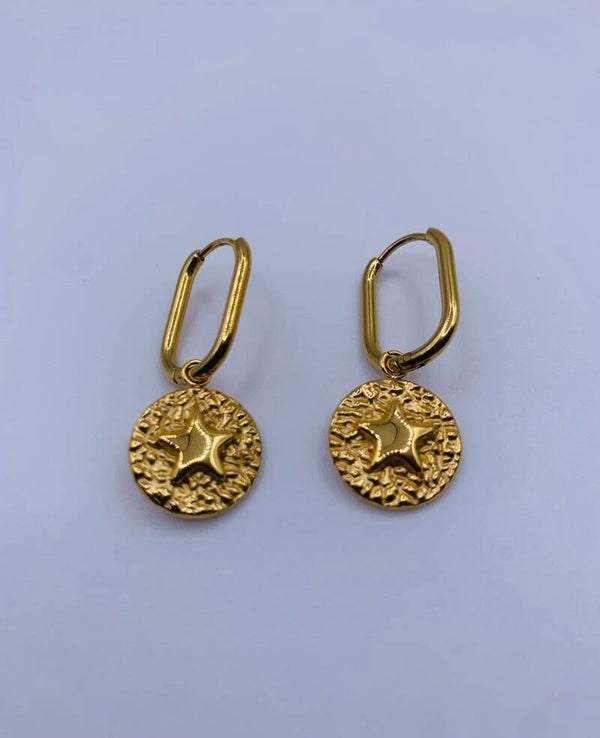 Oorbellen stainless steel 'Patty'