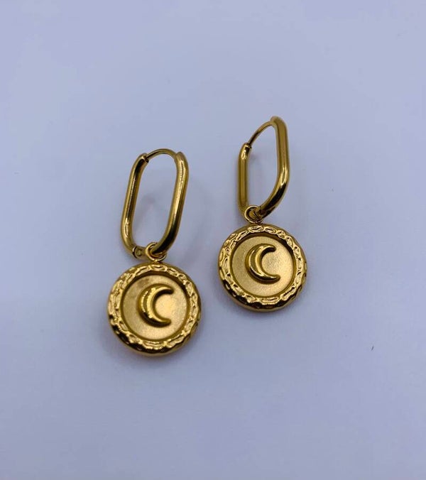 Oorbellen stainless steel 'Raina'