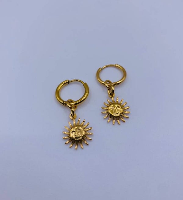 Oorbellen stainless steel 'Saartje'