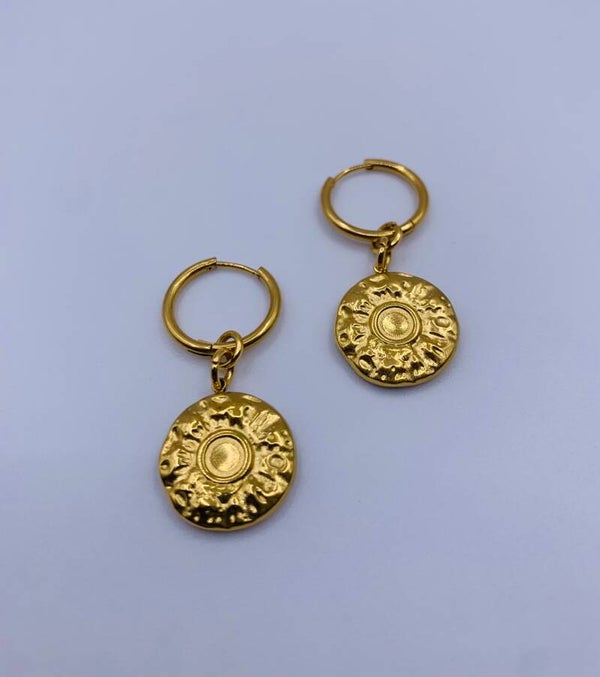 Oorbellen stainless steel 'Carmen'