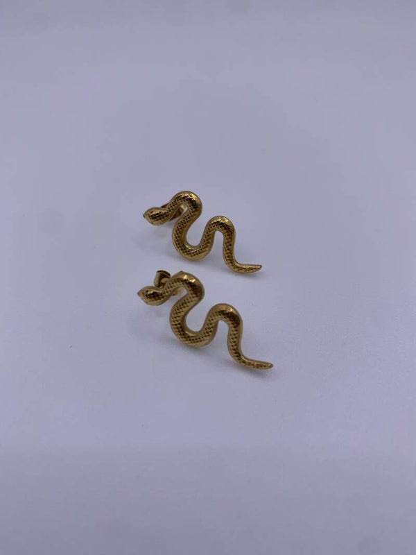 Oorbellen stainless steel 'Laila'