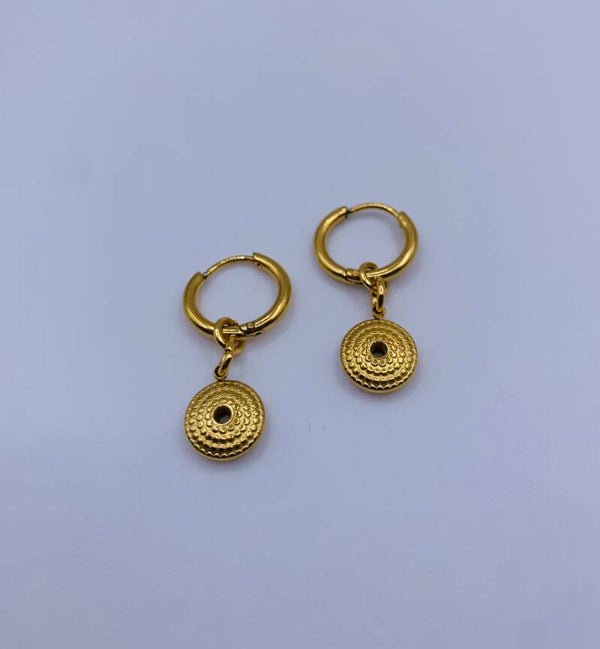 Oorbellen stainless steel 'Naomi'