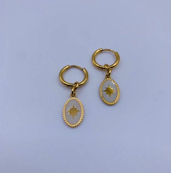 Oorbellen stainless steel ' Misty'