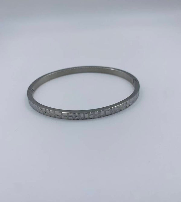 Armband stainless steel zilverkleur 'Snake'