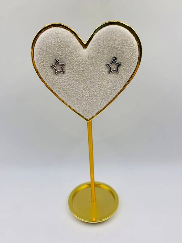 Oorstekers stainless steel zilverkleur 'Bo'