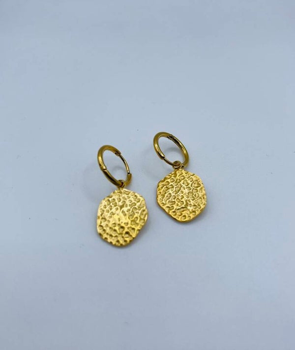 Oorbellen stainless steel 'Anna'