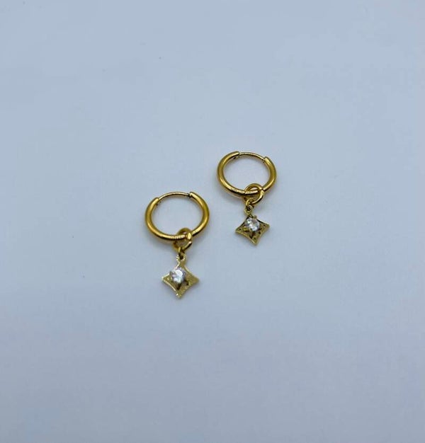 Oorbellen stainless steel 'Michaela'