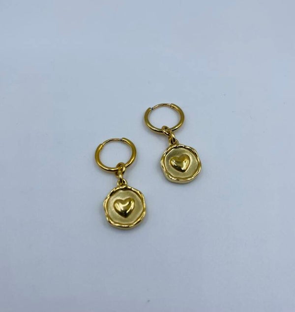 Oorbellen stainless steel 'Cassie'