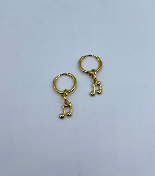 Oorbellen stainless steel 'Bobby'