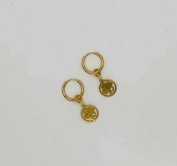 Oorbellen stainless steel 'Kirsten'