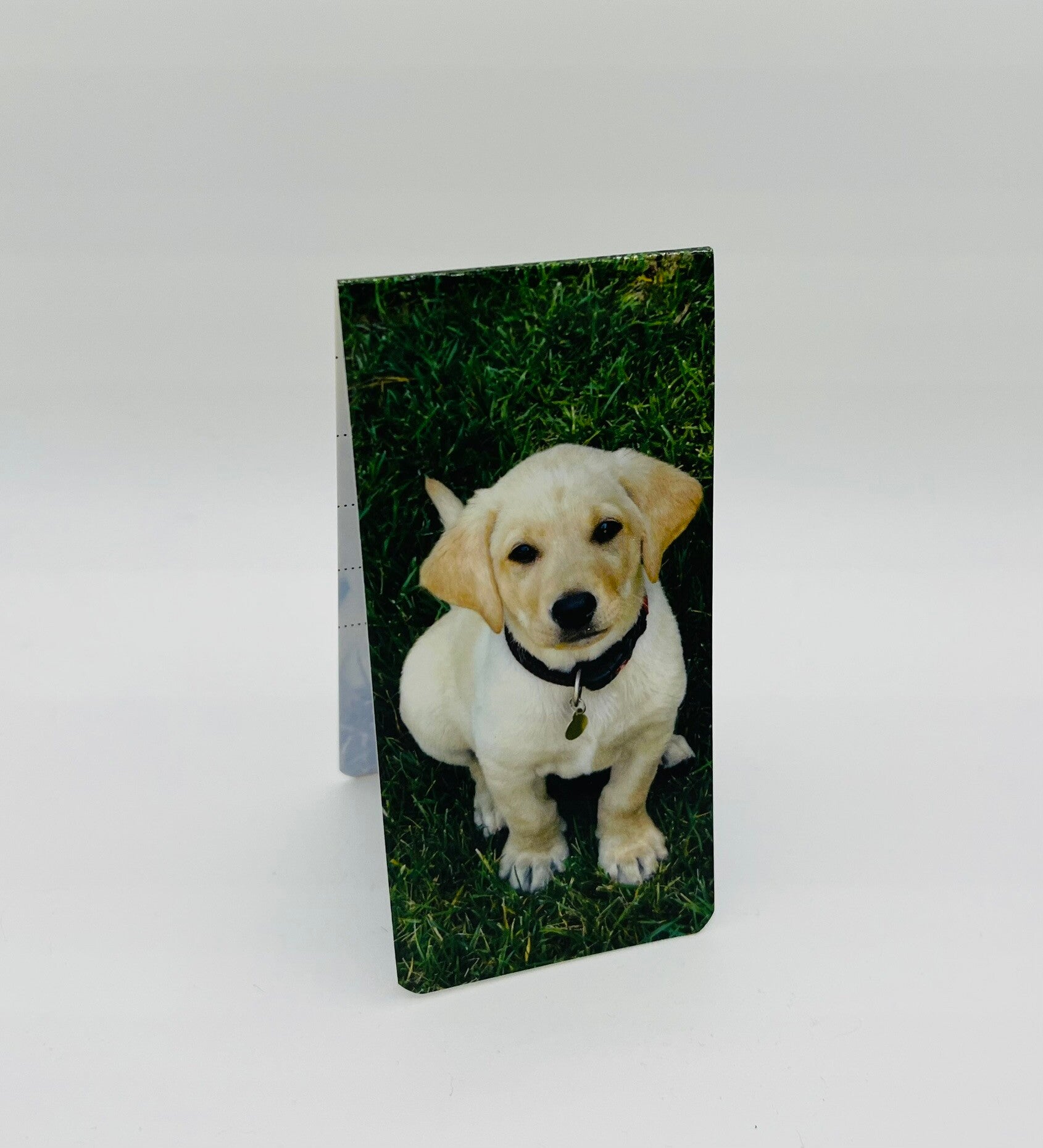 Boekenlegger magnetisch labrador pup blond