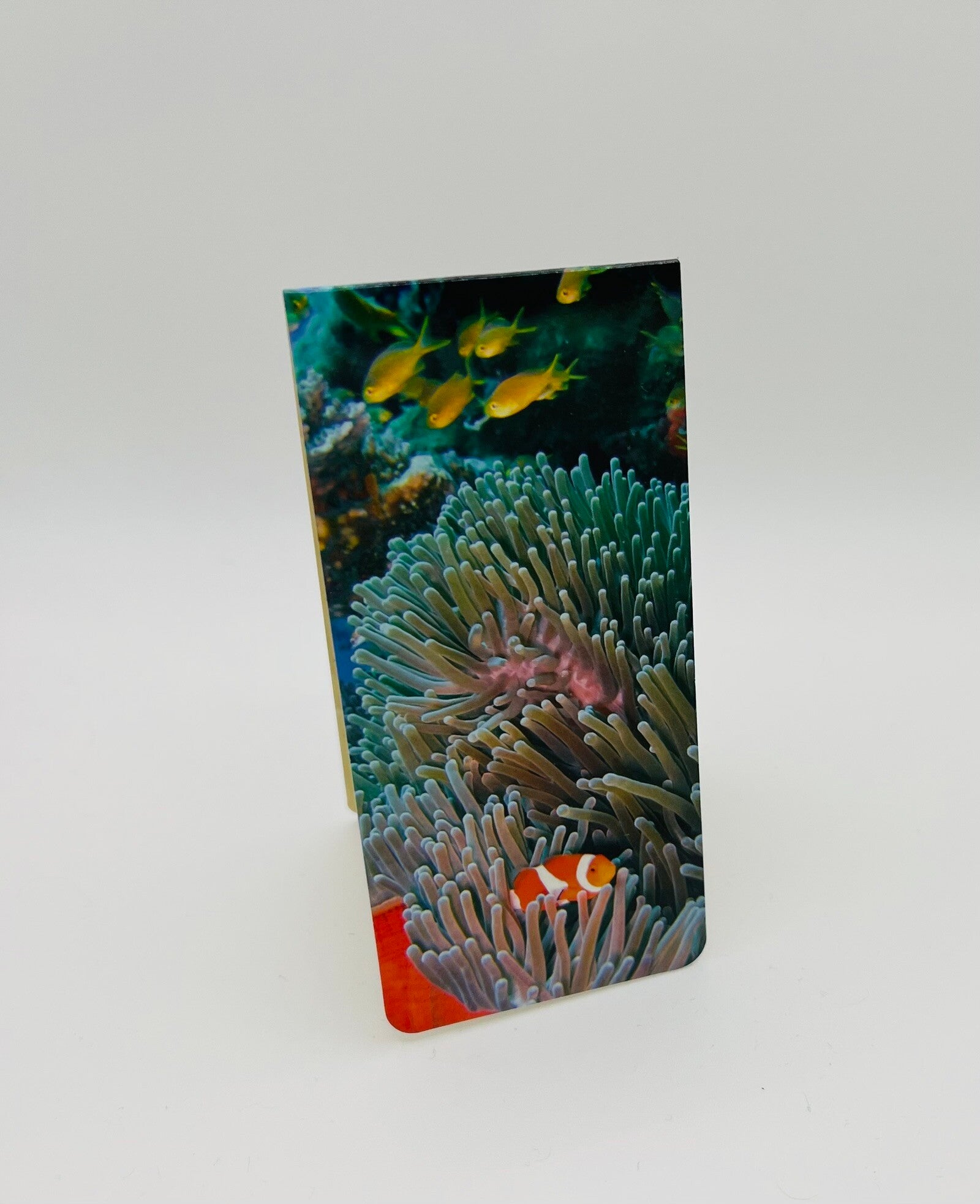 Boekenlegger magnetisch zee