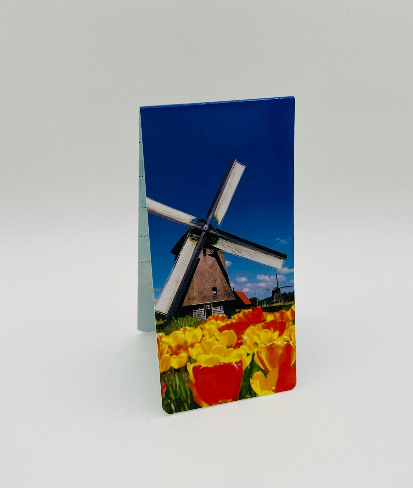 Boekenlegger magnetisch molen en tulpen