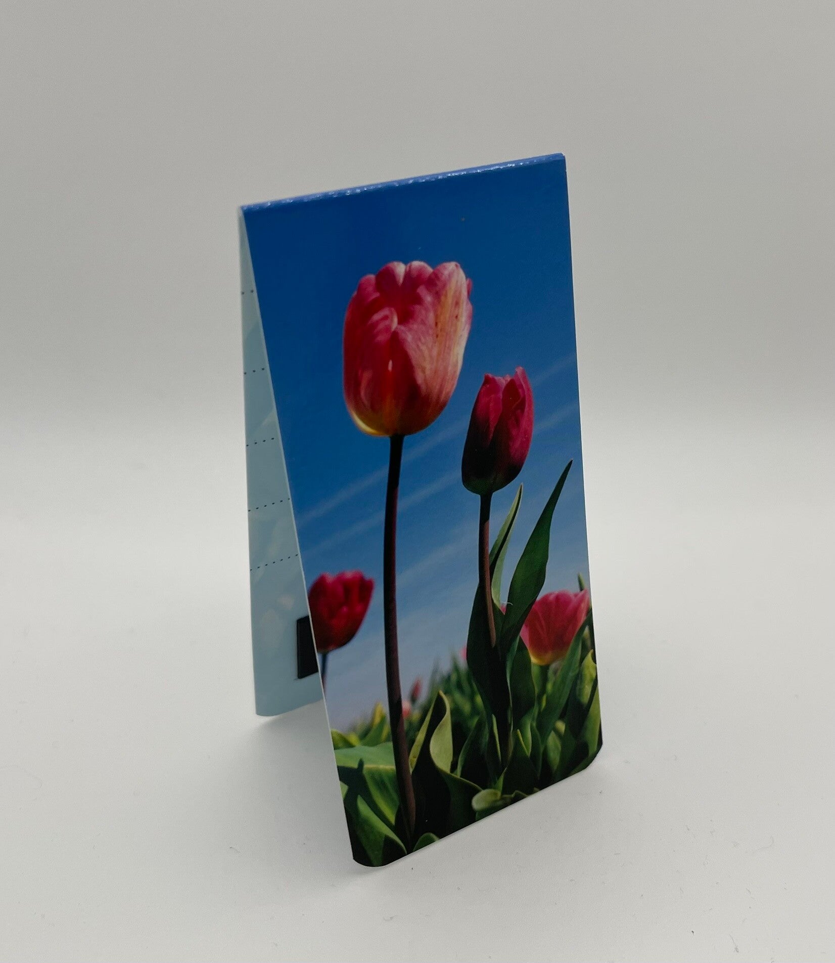 Boekenlegger magnetisch roze tulpen