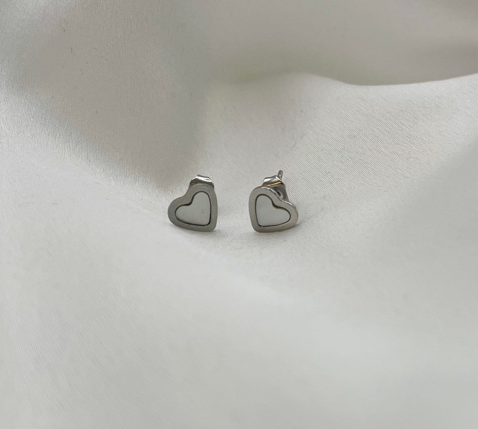 Oorstekers stainless steel zilverkleur 'Nola'