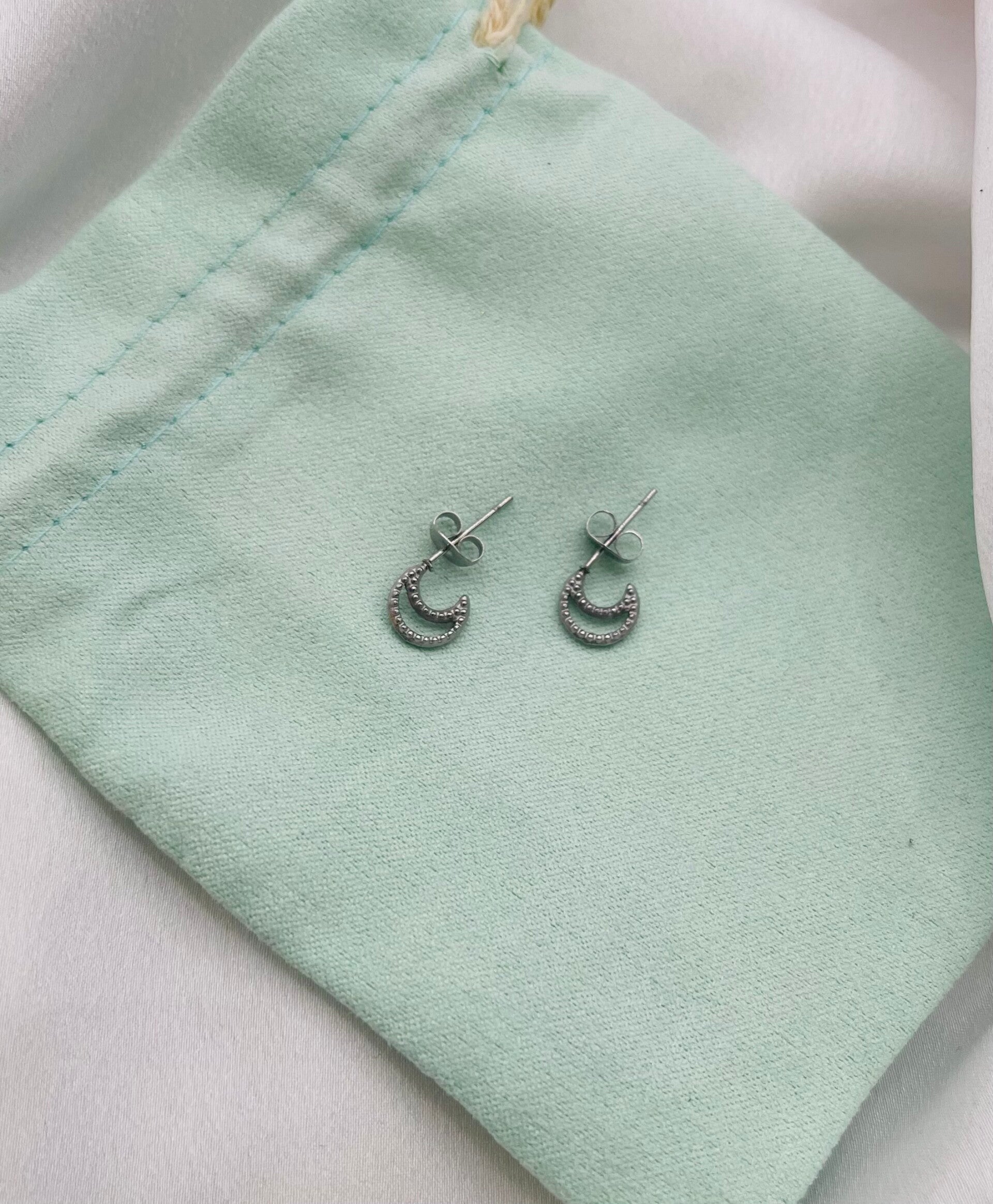 Oorstekers stainless steel zilverkleur 'Moon'