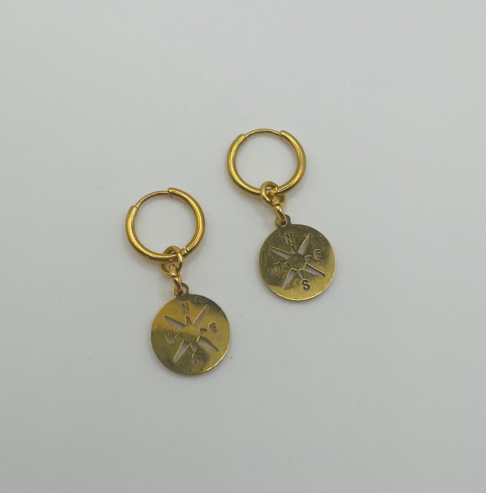 Oorbellen stainless steel 'Aafke'