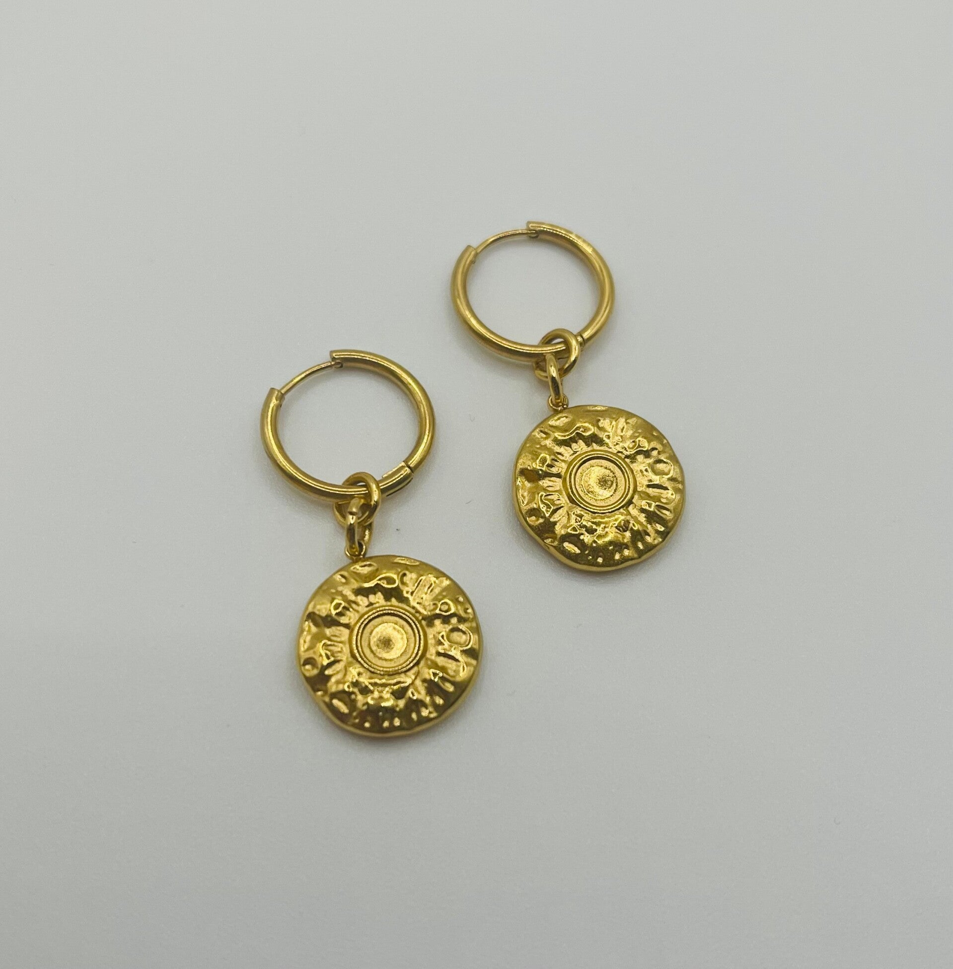 Oorbellen stainless steel 'Carmen'