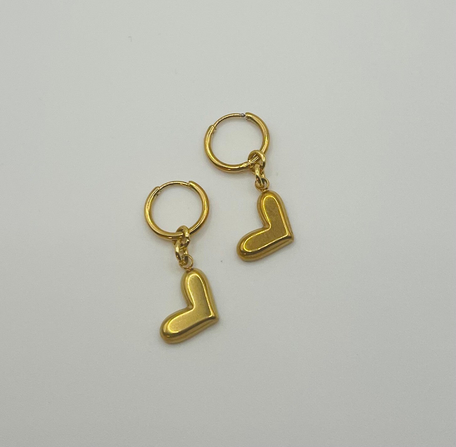 Oorbellen stainless steel 'Kaat'